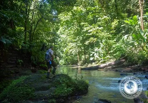 Река национального парка Корковадо