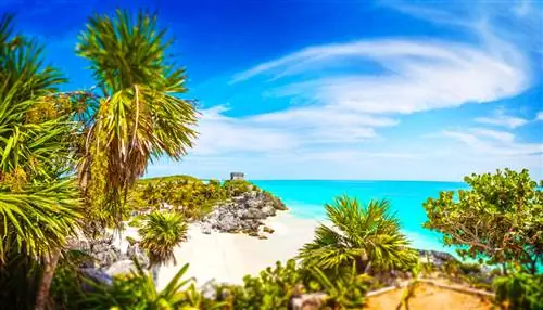 Лучшие развлечения Oasis на Ривьере Майя