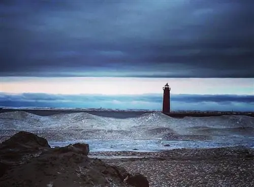 Может быть, ты снова сможешь пойти домой