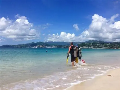 дайвинг в Гренаде