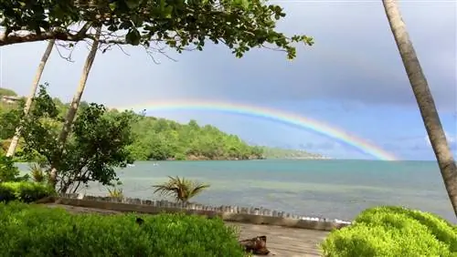 5 удивительных развлечений на свежем воздухе в Гренаде