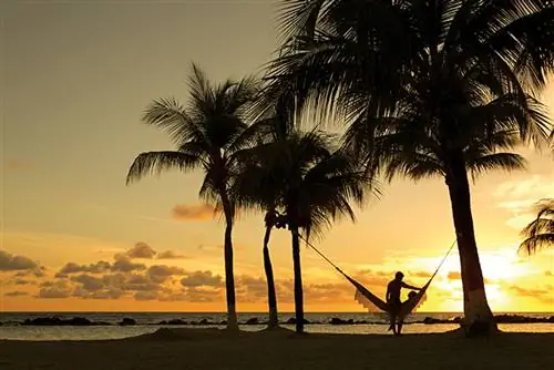 Лучшие пляжные развлечения на курортах Sunscape Resorts & Spas