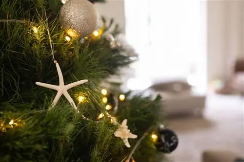 Праздничные подарки со всего мира