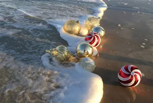 Агент агенту: Это последний отсчет