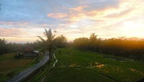 Закат-Над-Рисом-