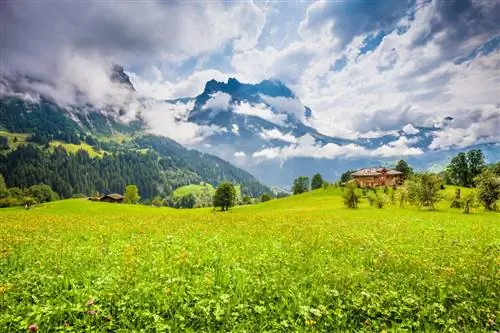 Отправляйте своих клиентов в Швейцарию круглый год