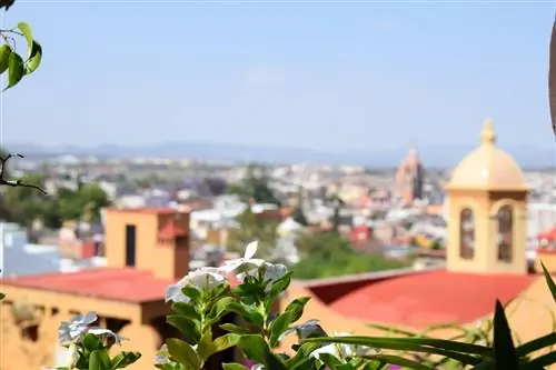 Уникальное место для MICE-групп