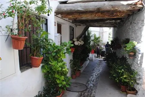 Мавританские впечатления в Андалусии