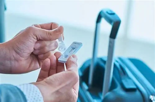 Наборы для самотестирования на COVID-19: новый спутник в путешествиях?