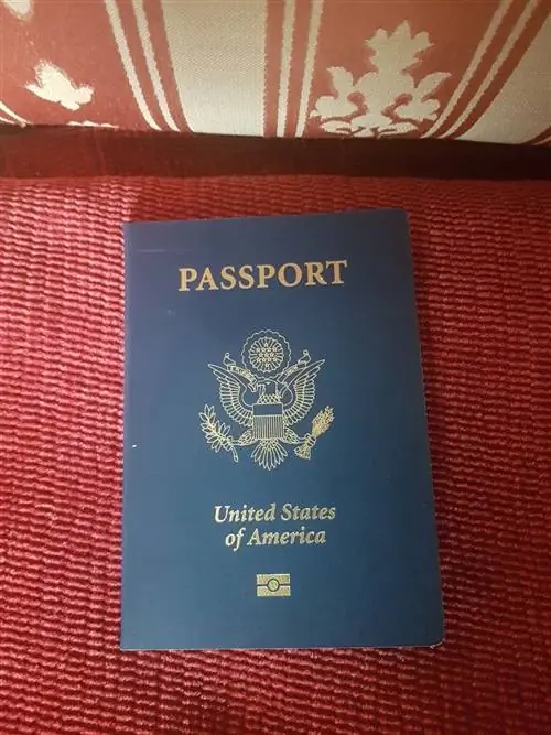 Моя последняя книга снов