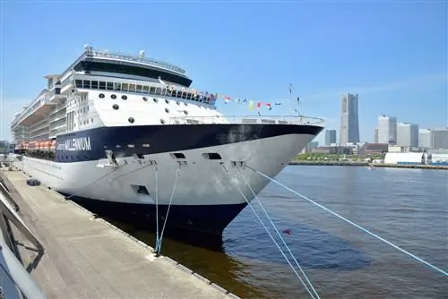 Мысли о том, как Royal Caribbean справлялась со случаями COVID на борту