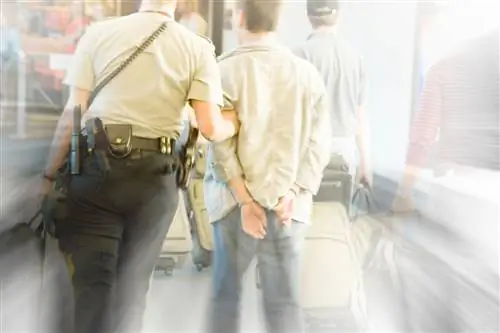 Что нужно, чтобы положить конец неуправляемым пассажирам в самолетах?