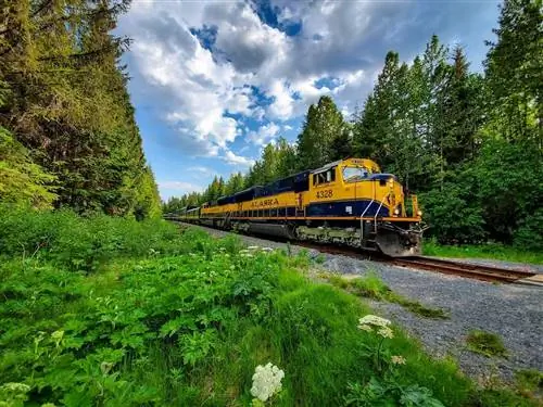 Перед поездкой узнайте историю флагманского поезда железной дороги Аляски