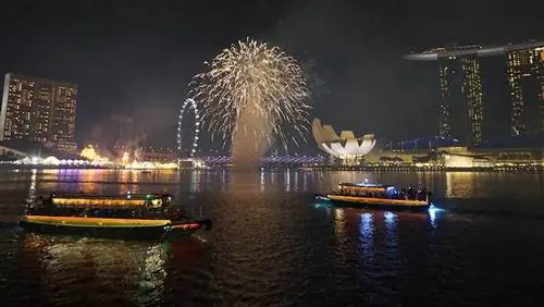 Почему следует праздновать китайский Новый год в Сингапуре