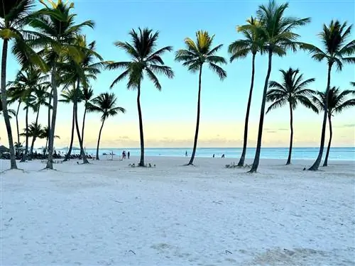 Ограничения на поездки в Карибский бассейн: ознакомьтесь с протоколами безопасности Доминиканской Республики