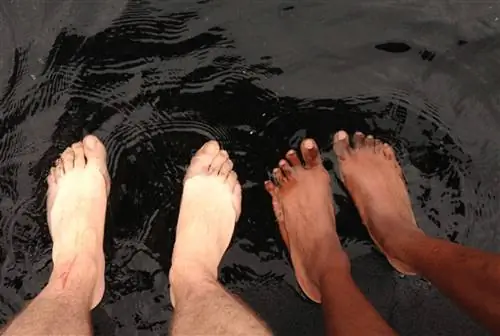 Осмелюсь ли я обнажиться?