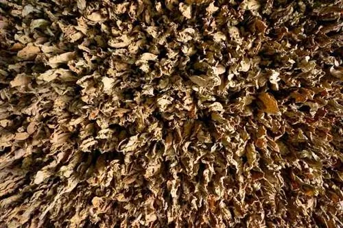 табачные виналес куба