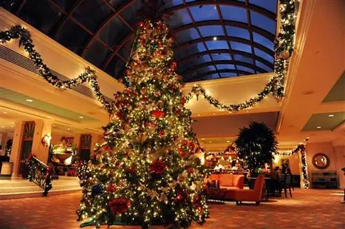 6 причин забронировать семейный отдых на райском острове Нассау