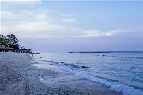 Гили Ти: Вечеринки - это правило, а не исключение