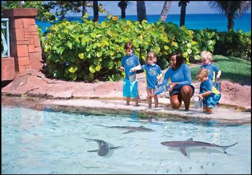 Мероприятия для детей на острове Нассау Парадайз