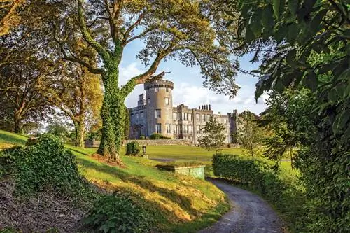 Возьмите на себя ответственность за свой отпуск, не садясь за руль