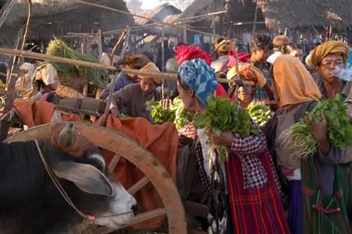 6 причин познакомиться с Мьянмой на лодке