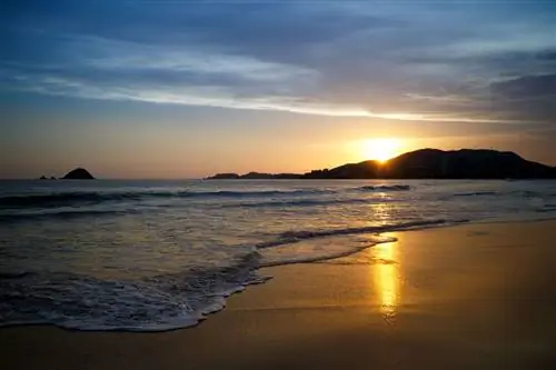 Прикоснитесь к природе в Икстапе