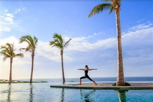 Оздоровительный отдых: отдых, меняющий жизнь