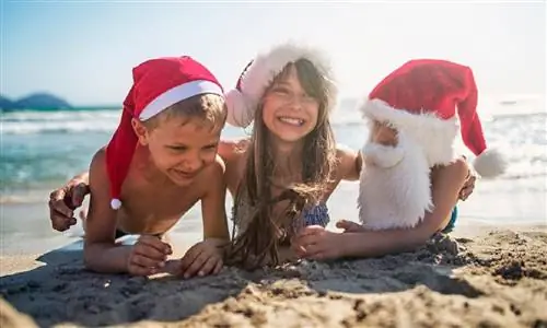 Путешествия в отпуск становятся более популярными благодаря вакцинам для детей