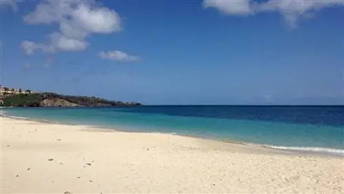 Безумие ночи понедельника: Крабовые бега в Гренаде