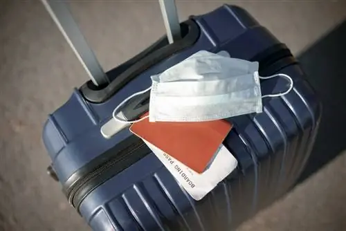 Вы действительно готовы путешествовать этим летом?