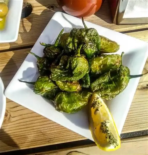 4 места, где подают лучшие тапас в Мадриде