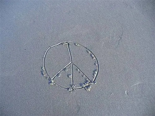 Призыв к миру через путешествия