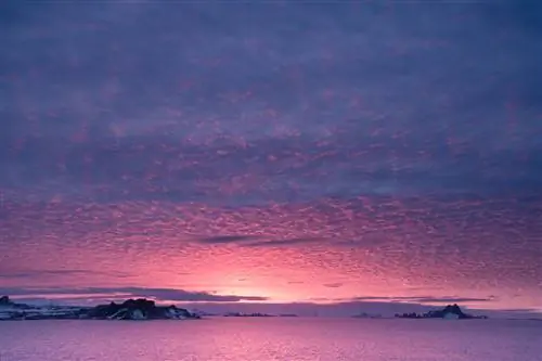 Полярные вещи: что взять с собой в путешествие в Антарктиду