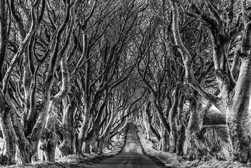 В поисках трона: новые маршруты CIE Tours по Северной Ирландии