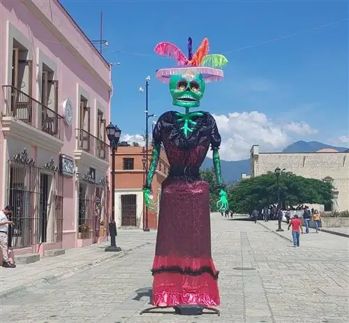 Пришло время отправиться в Оахаку