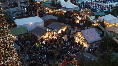 5 главных причин посетить Европу этой зимой