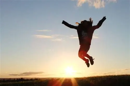 История успеха агента: никогда не переставайте учиться