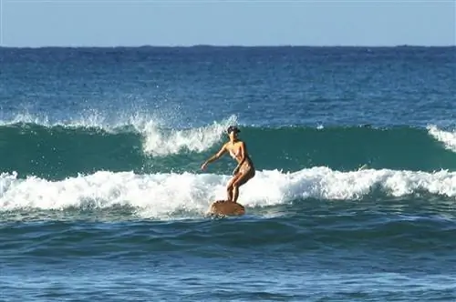 Серфинг на Вайкики