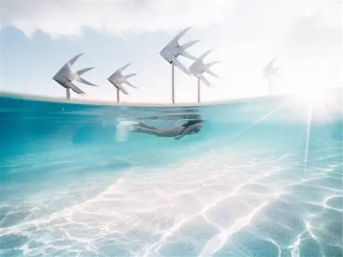 8 лучших мест для Instagram недалеко от Кэрнса, Австралия