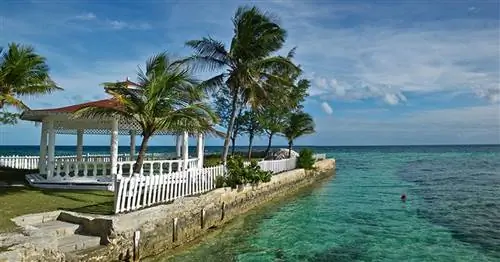 Чему вас может научить тур по острову на Багамах