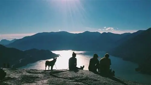 Потрясающие однодневные поездки из Ванкувера