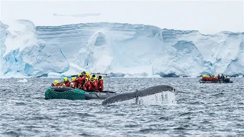 7 советов по фотографии Антарктики