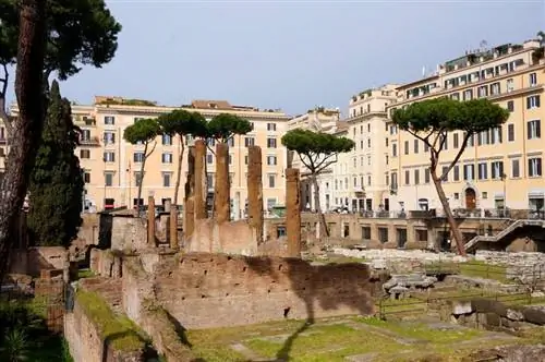 Ларго ди Торре, Аргентина