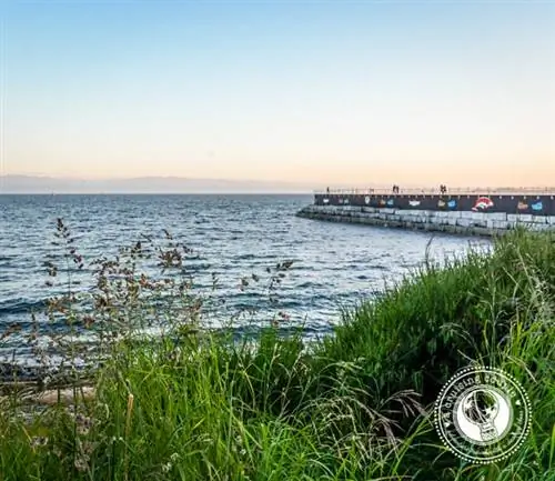 Волнорез на закате