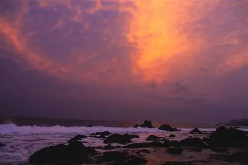 Монтесума, Коста-Рика: Земля обетованная