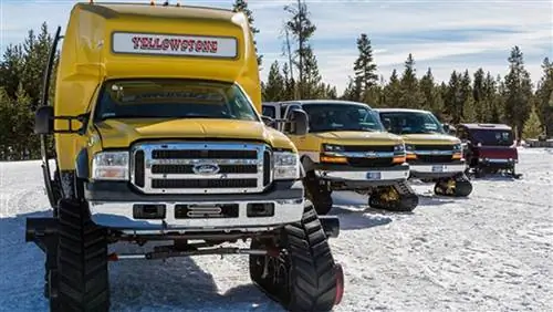 Чем дорожные туристы заняты зимой