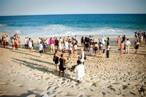 Морские черепахи в Лос-Кабосе