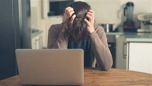 Агент агенту: делаем то, что важно