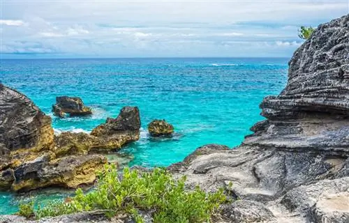 Подводные приключения на Бермудских островах